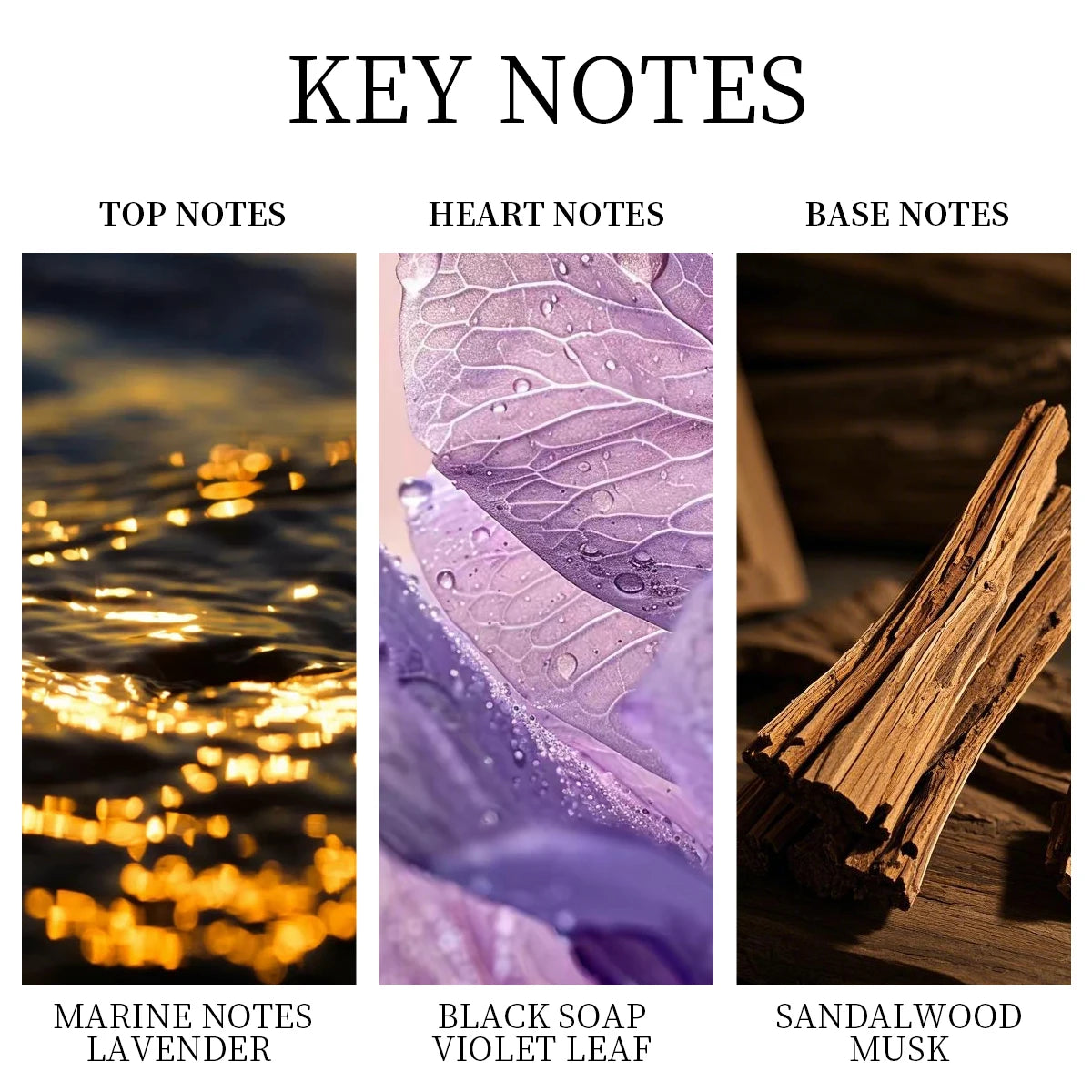 LASTAR Men's Eau de Toilet, 50ml/1.7fl.oz, Musk, Long-Lasting Fragrance,Date Atmosphere，Christmas/New Year gifts